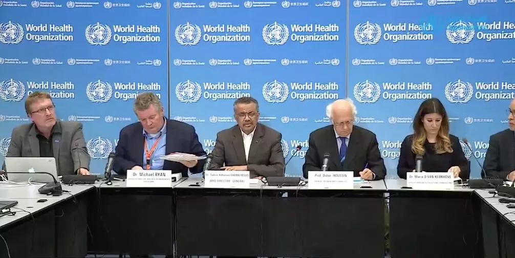 最新疫情定性解析报告,疫情趋势与应对策略探讨