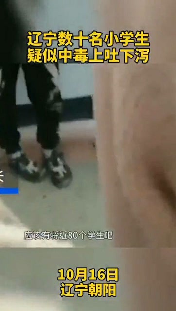 辽宁最新疑似问题解析步骤指南