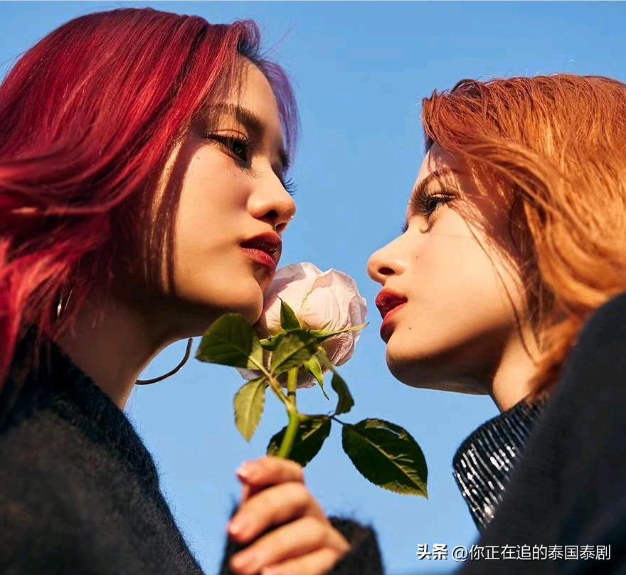 最新抢购资讯,抢购心灵的旅行盛宴,感受自然的宁静