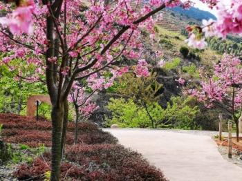 工程机械设备价格 第287页