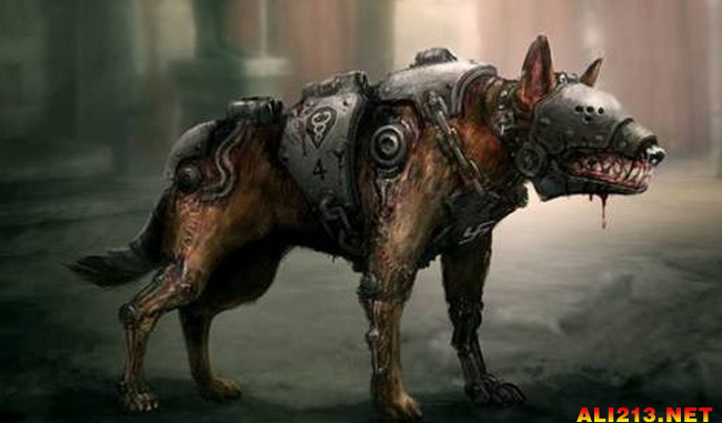 2024新奥正版资料四不像,权威解析方法_启动版19.250