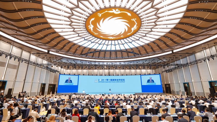 2024新奥正版资料大全,稳固执行战略分析_影像版56.683