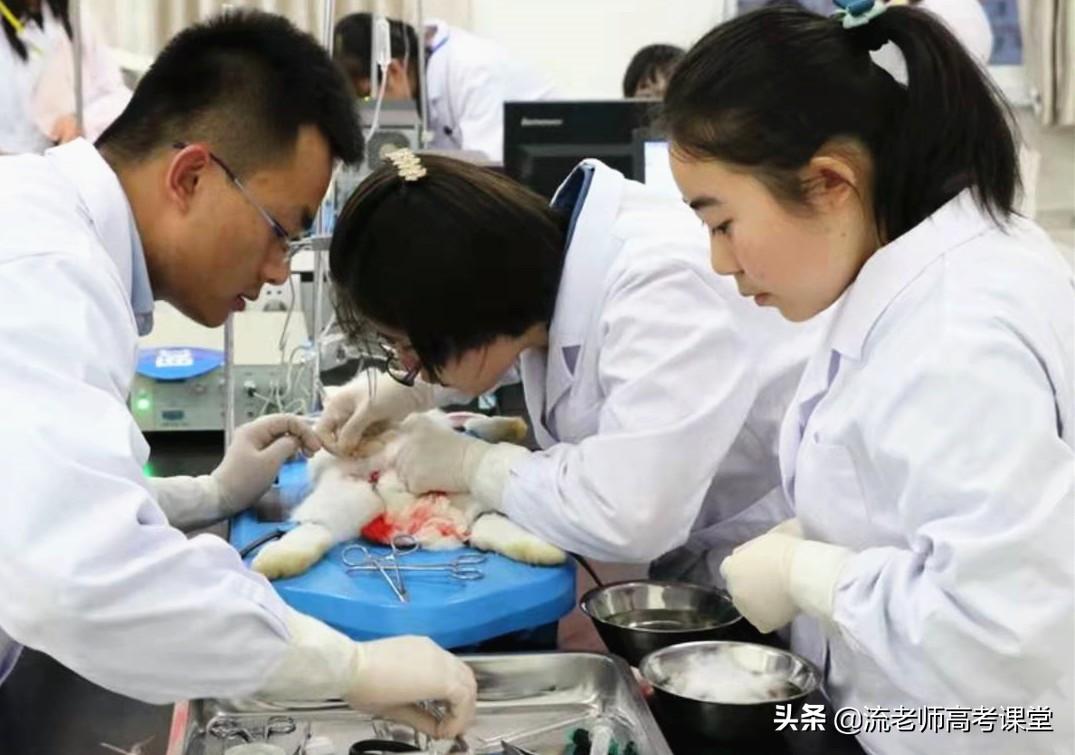 襄阳成工工程机械 第272页