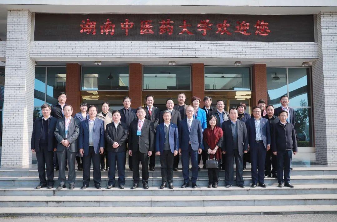 最新港澳之旅,探寻自然美景,寻觅内心平和之乐