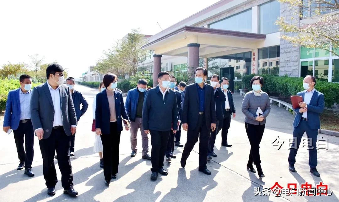 新洲最新疫情详解,防护指南与应对步骤(面向初学者与进阶用户的实用指南)