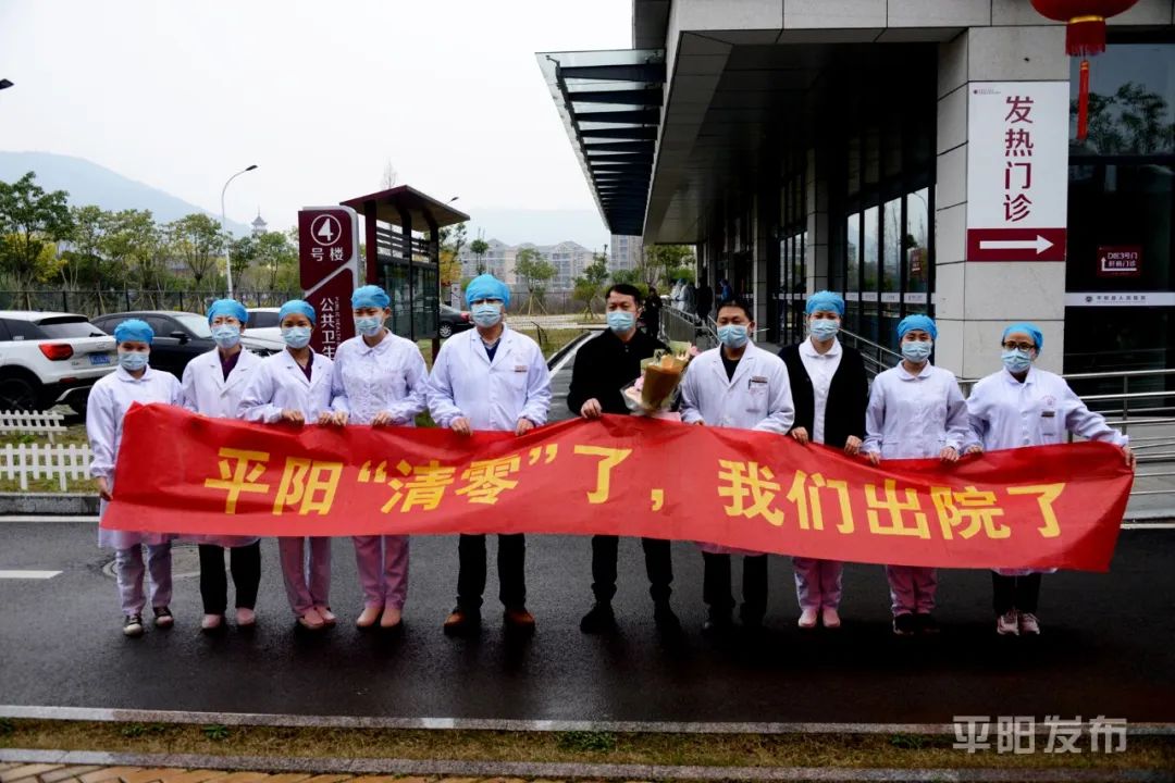 平阳最新疫情深度解析与观点阐述