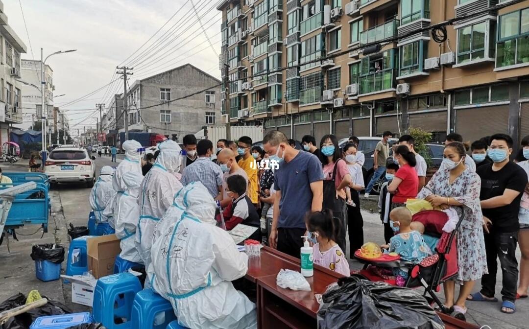 平阳最新疫情深度解析与观点阐述