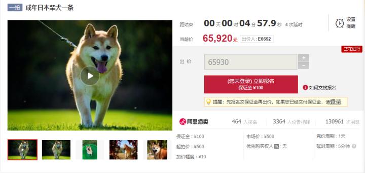 管家婆一码一肖100准,综合计划评估_数字版11.613