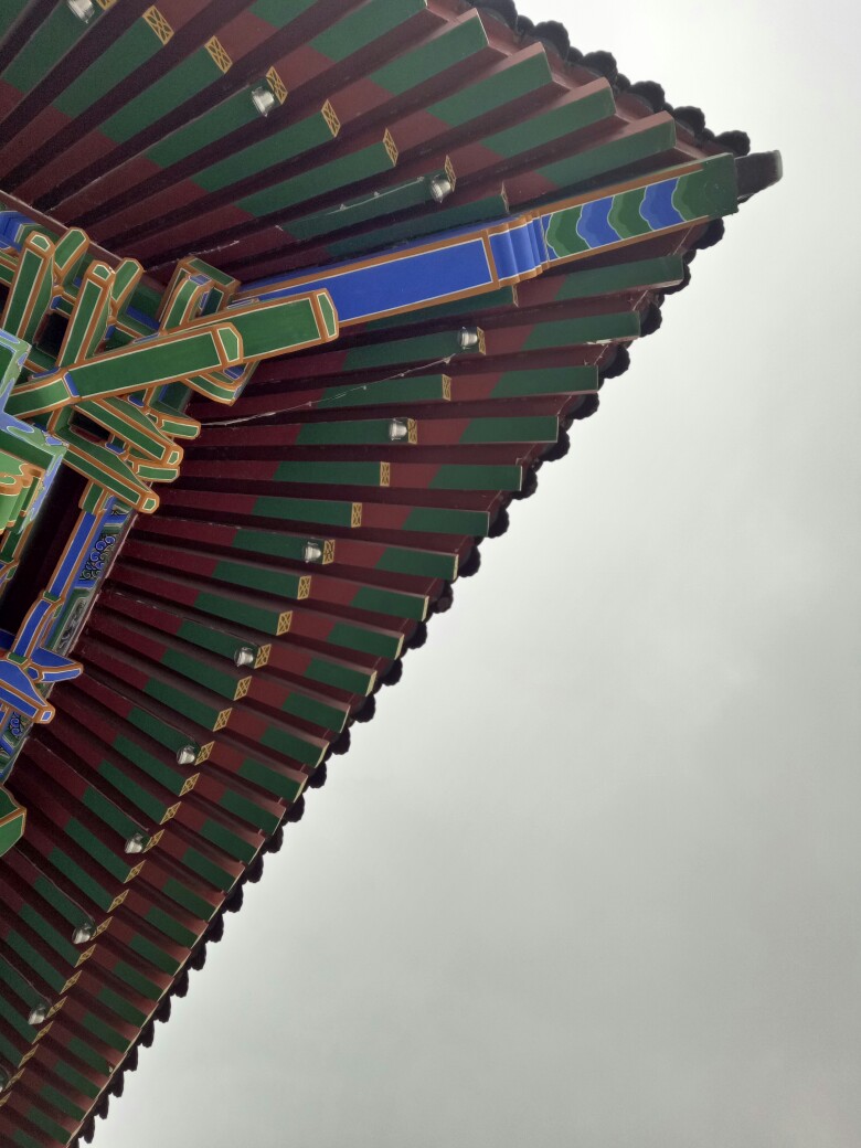 飞檐最新报告发布，最新动态与研究成果汇总