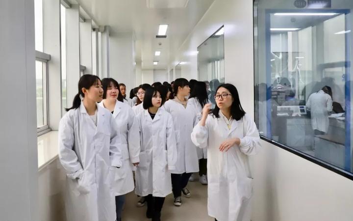 海正乘风破浪，开启无限可能的新篇章