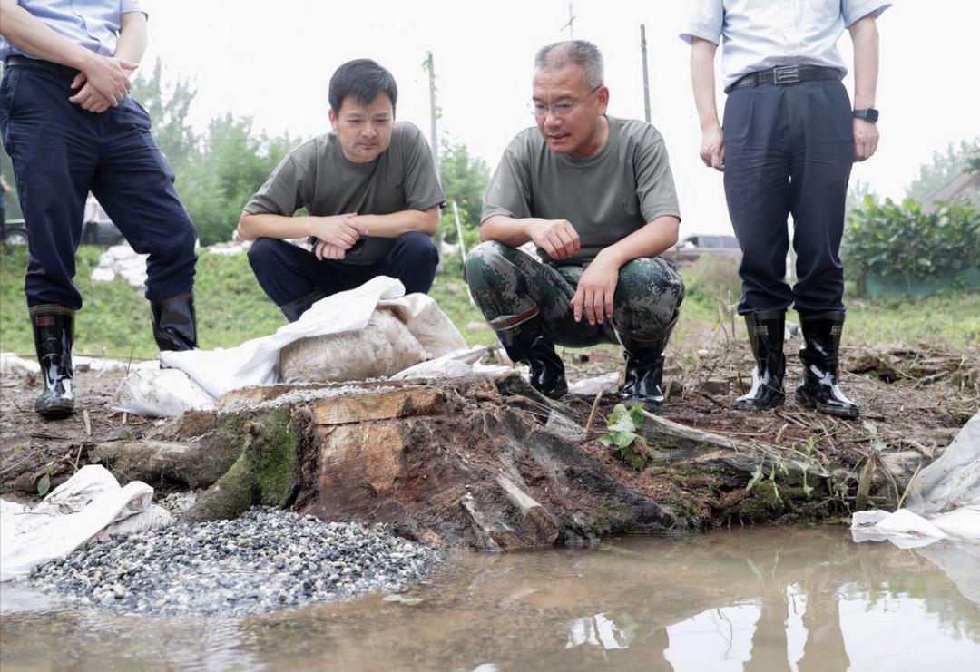 铜陵最新汛情全面解析及关注焦点