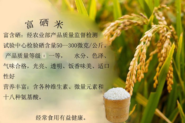 微米富最新日常，一场奇妙的友情之旅