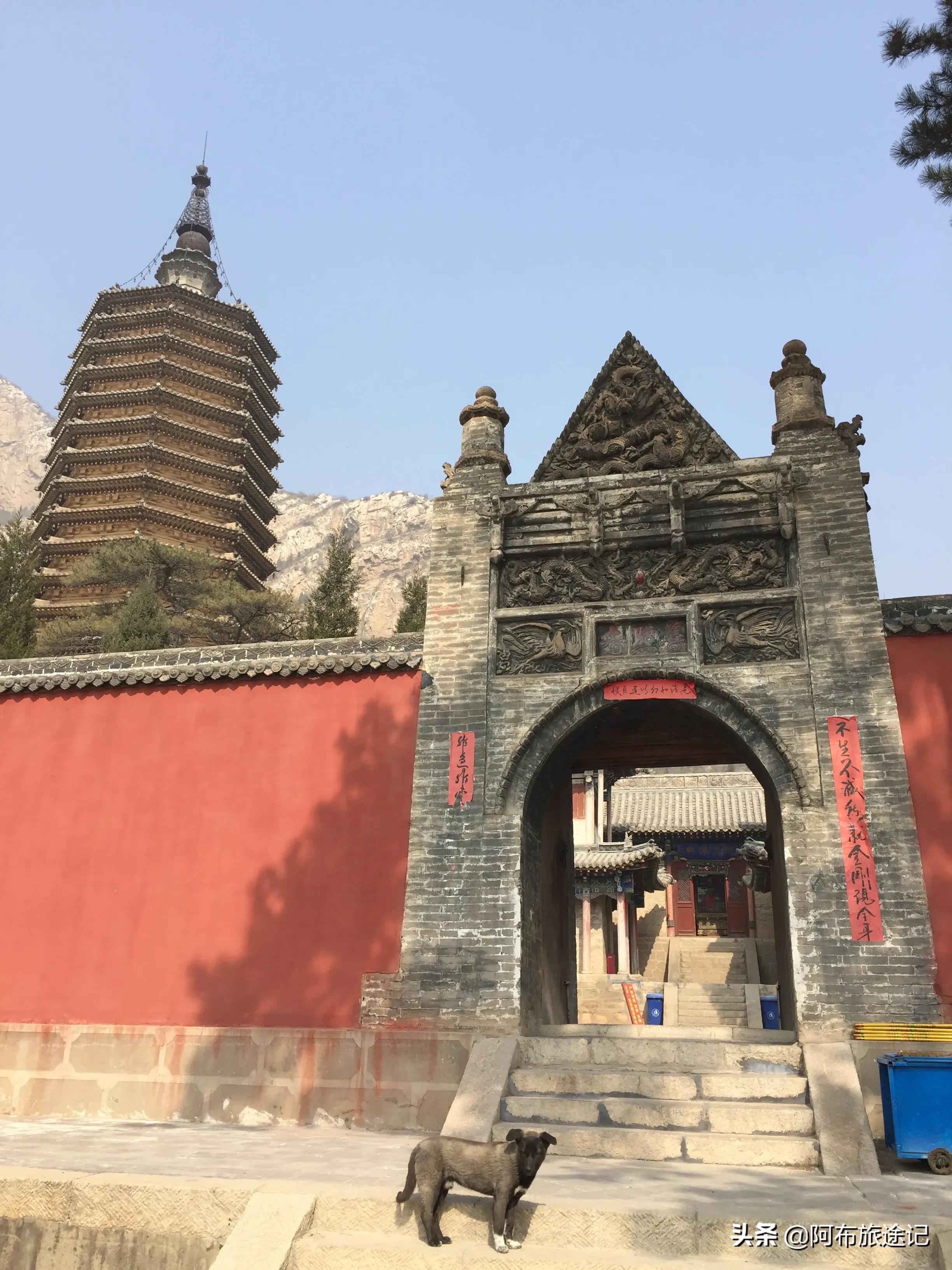 最新井山的温馨日常概览