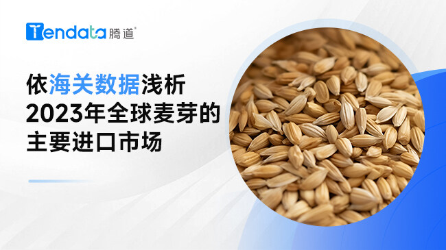 麦芽最新税操作指南,从入门到进阶的全面指导