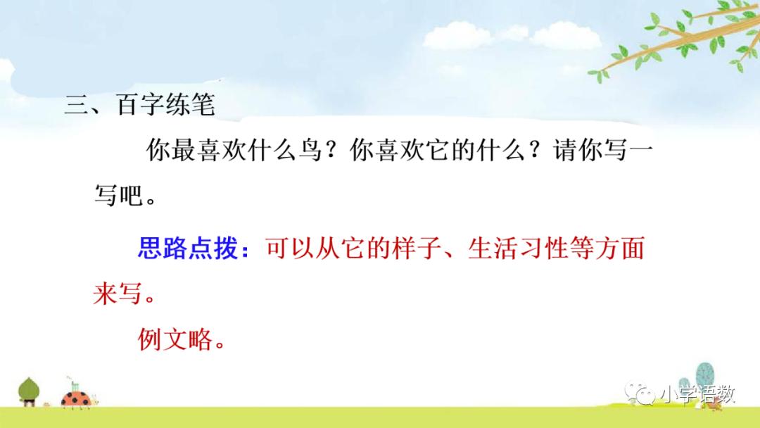 白鹭最新课程，友情、趣事与日常的温暖邂逅