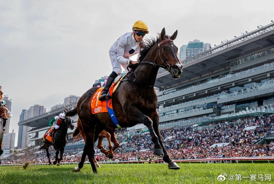 2024香港赛马全年免费资料,稳固执行战略分析_采购版76.462