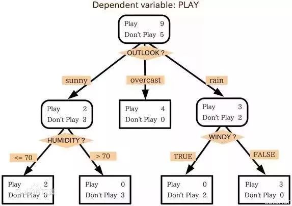 三期必出一期三期资料,数据驱动决策_内置版66.834