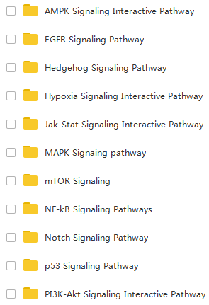 资料大全正版资料免费,现象分析定义_升级版25.118