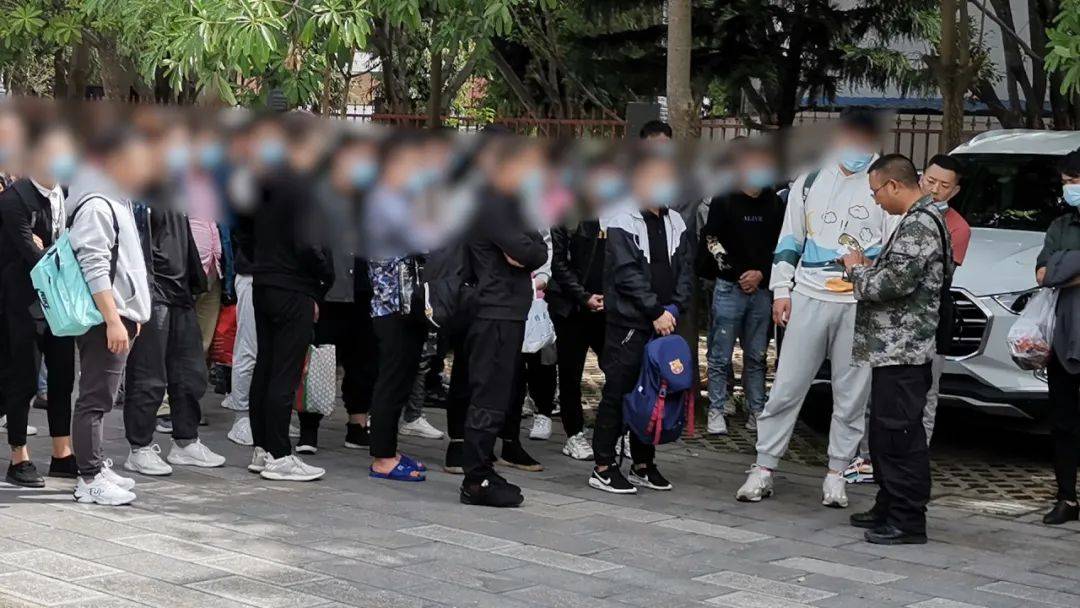 犯罪团伙深度解析与应对指南,最新动态与应对策略