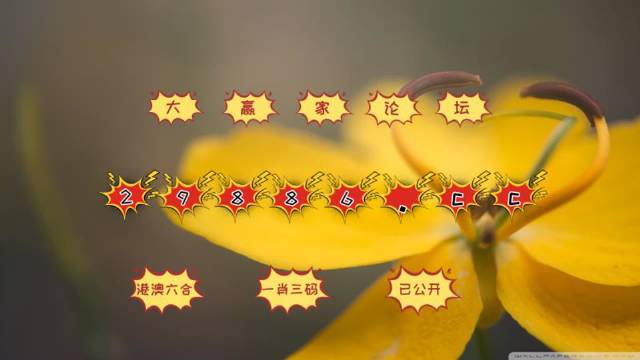 澳门4949最快开奖结果,快速解答方案设计_强劲版89.416