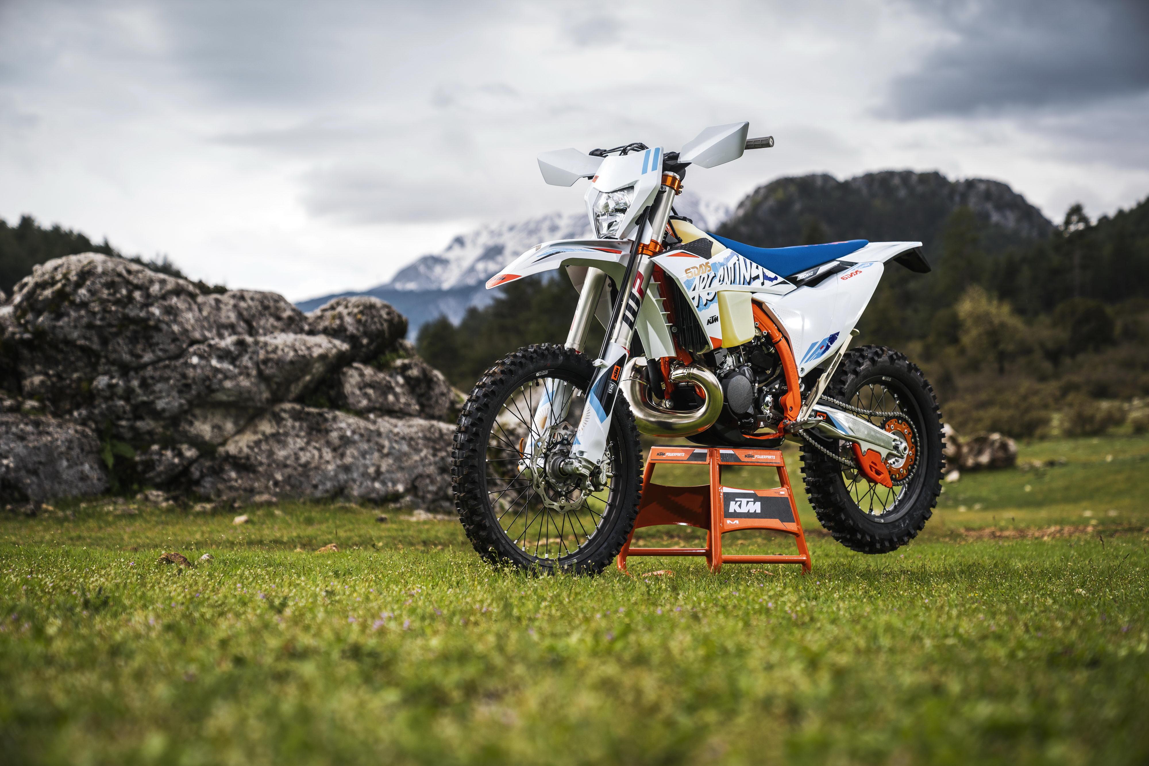 2024六开彩天天免费资料大全,统计信息解析说明_可变版28.121