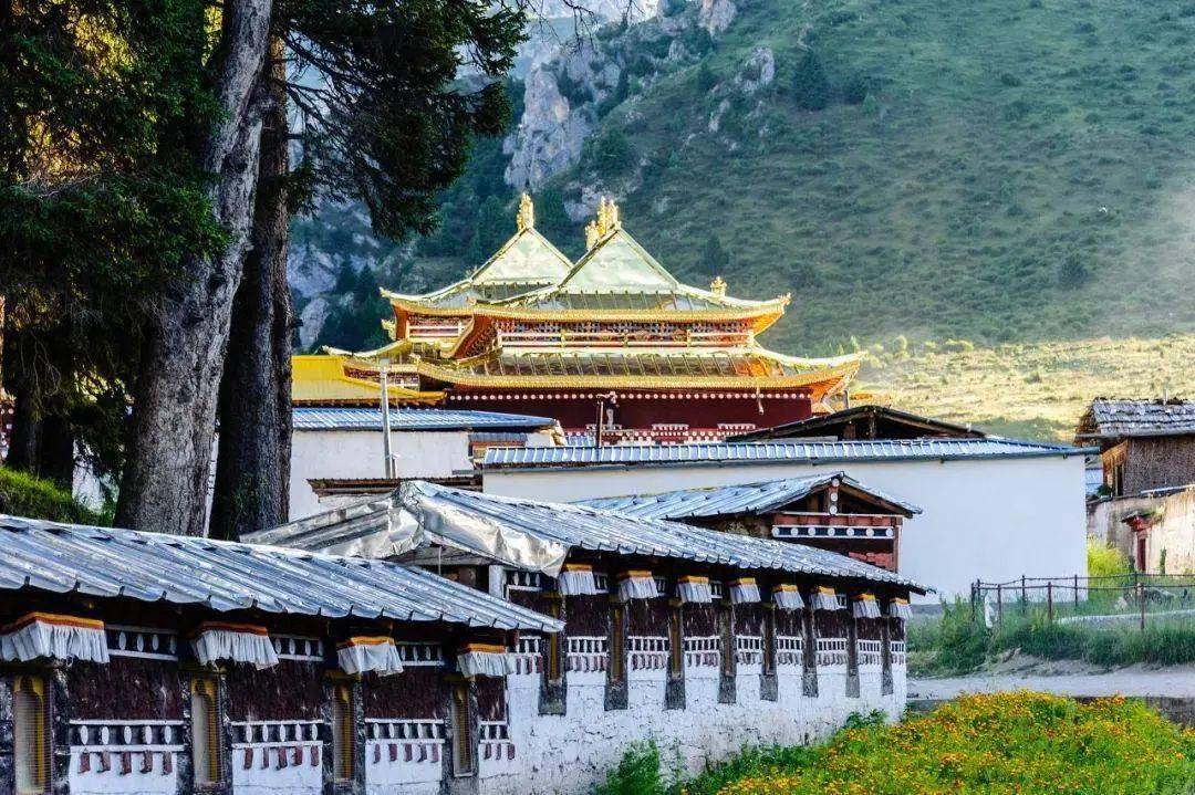 老澳门开奖结果开奖直播视频,全身心解答具体_旅行版1.769