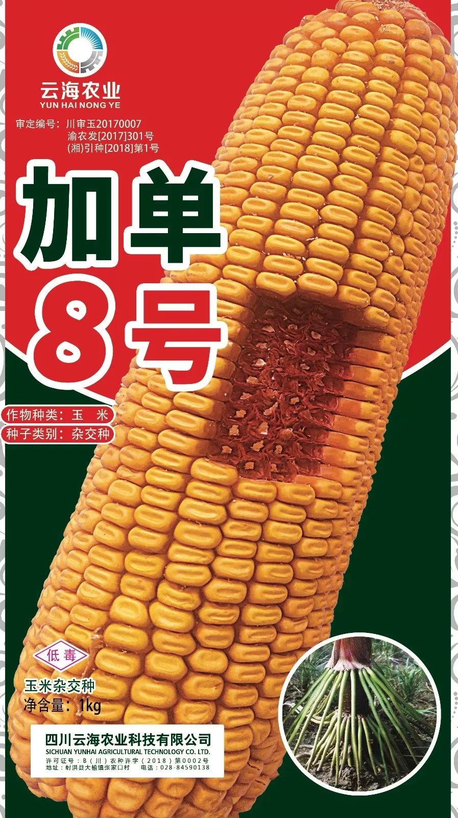 澳门王中王100%期期准,快速处理计划_儿童版94.136