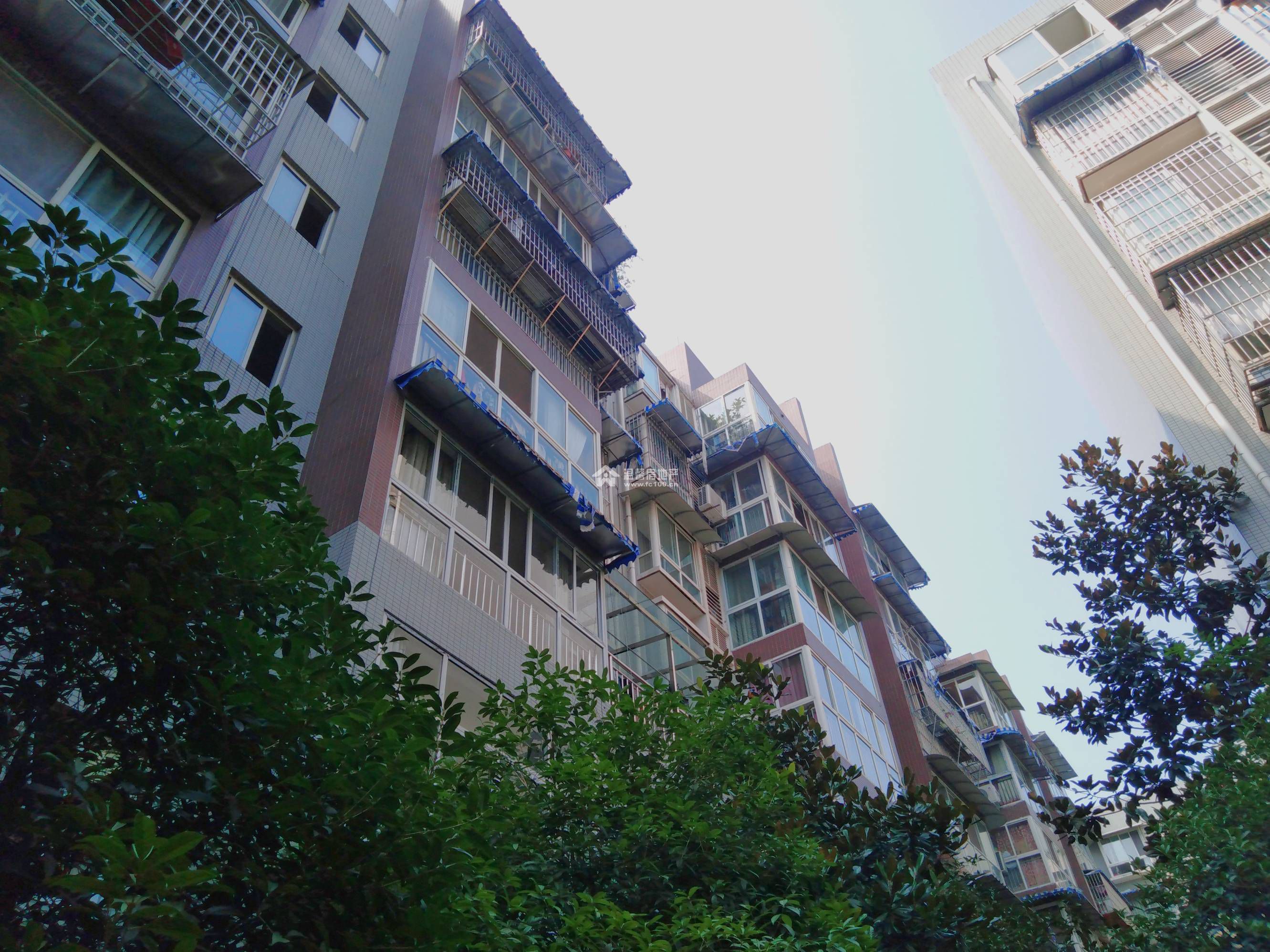 武汉最新逸景,高科技产品的革新之旅探索