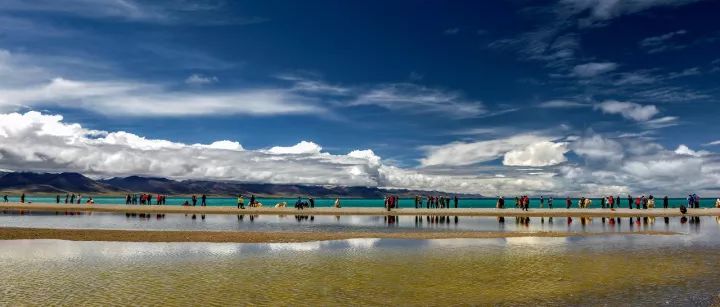 最新进乌拉泊的日常趣事概览