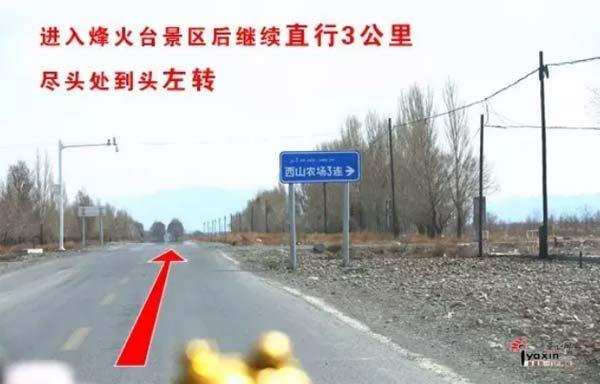 最新进乌拉泊的日常趣事概览