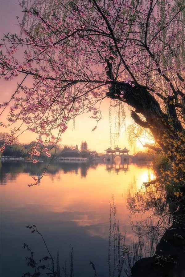 意境最新探索与阐述,最新情况一览