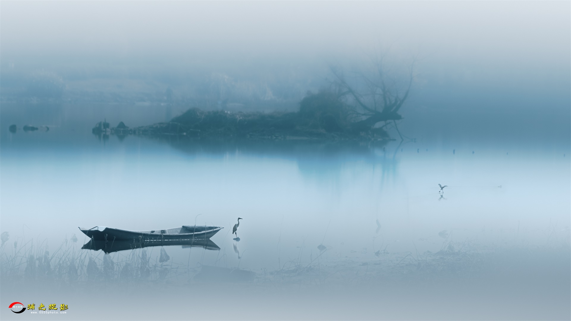 意境最新探索与阐述,最新情况一览