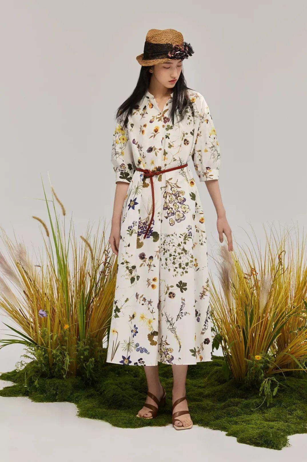 温馨小草，快乐相伴，探索小草最新官网的奇妙日常