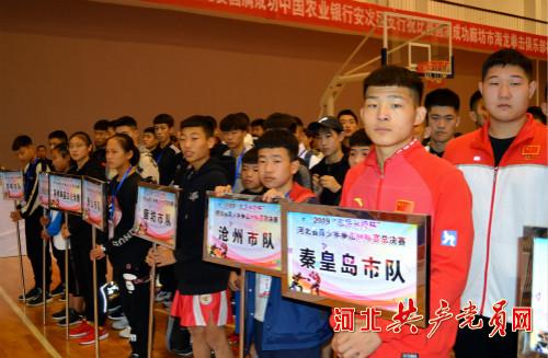 河北驾校最新动态，小巷里的驾驶梦想实现地