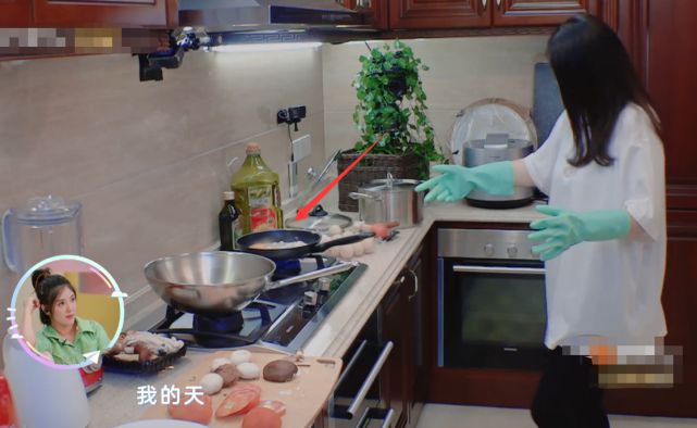 烹饪入门指南，最新下厨房详细步骤教程