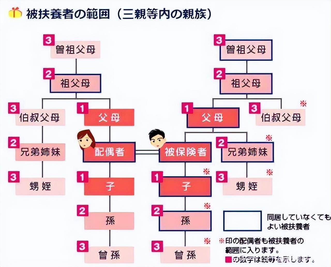 日本入国最新动态，背景、重要事件与影响全解析
