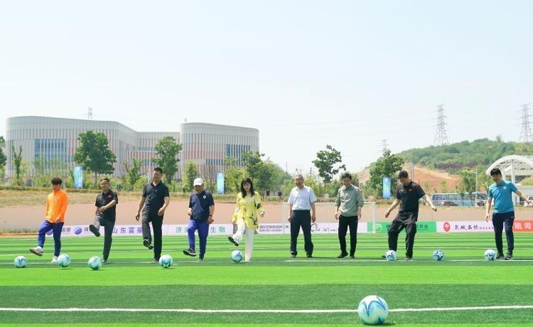 2024六开彩天天免费资料大全,快速实施解答研究_旗舰设备版13.549