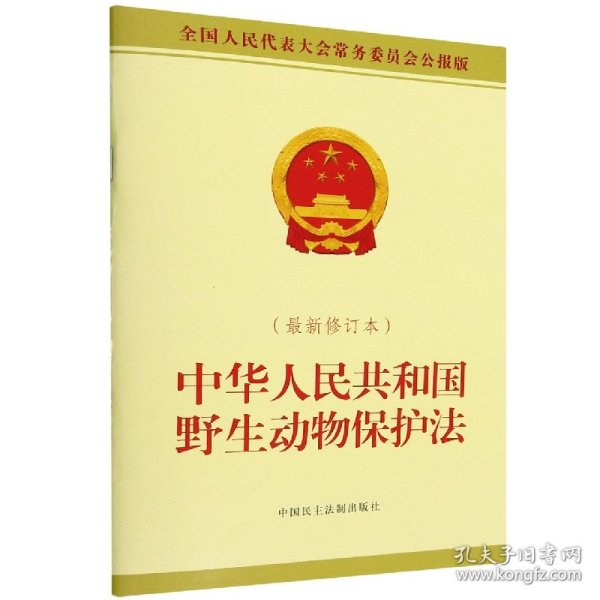 最新保护法下的探秘之旅,小巷中的隐藏特色小店故事