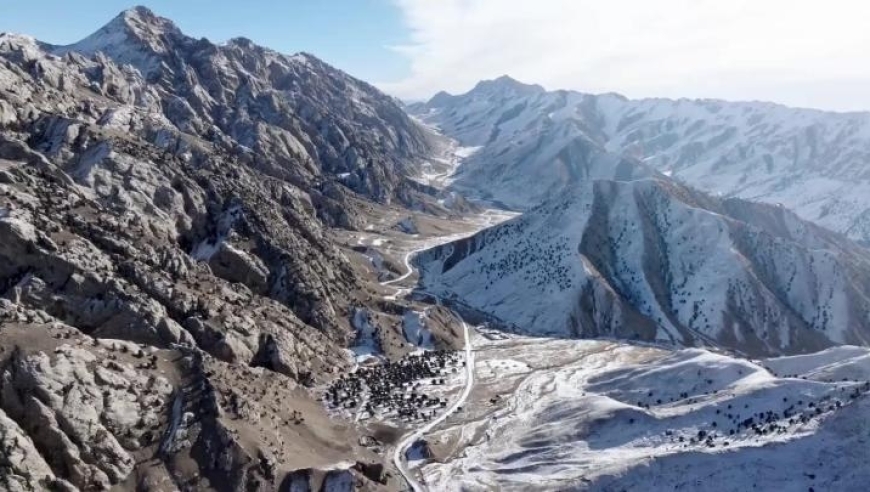 2024新澳精准资料大全,决策的信息资料_智慧共享版89.642