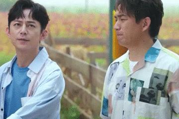 肖战风波揭秘,小巷深处的独特风味