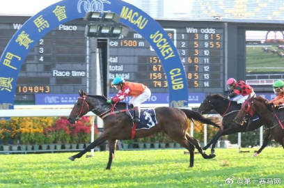 新澳门今晚开特马结果,担保计划执行法策略_瞬间版85.565