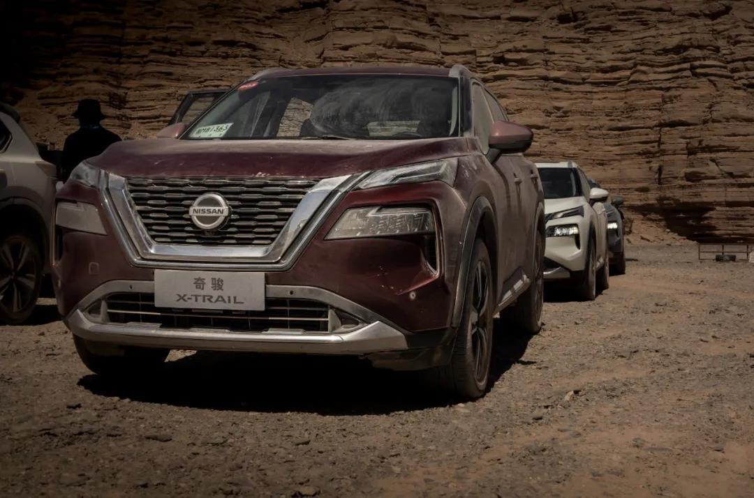 美好瞬间的回忆,新鲜而珍贵的记忆重温