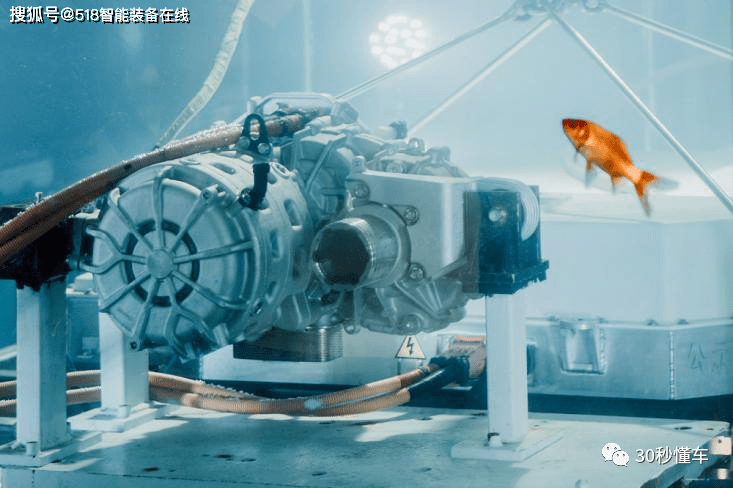 最新探索器,心灵与自然的绝美之旅