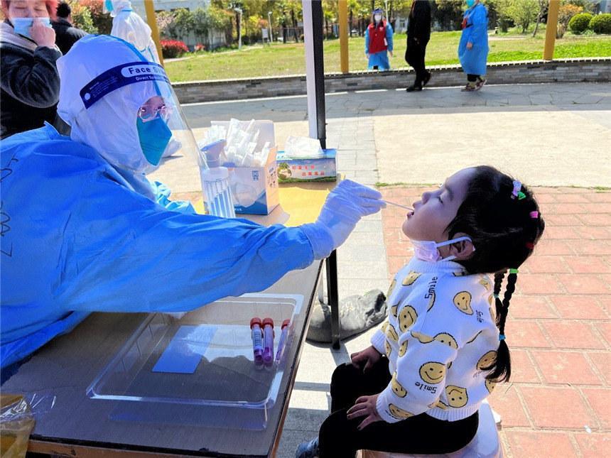 最新规定核酸检测详解，全面解读与要点分析