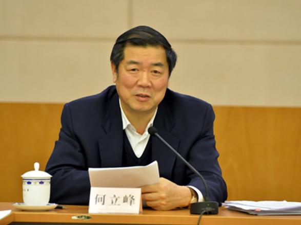 何立峰最新动态与观点论述解析