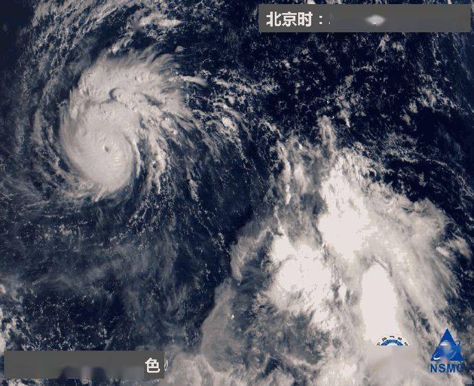 天鹅最新台风动态及防御策略