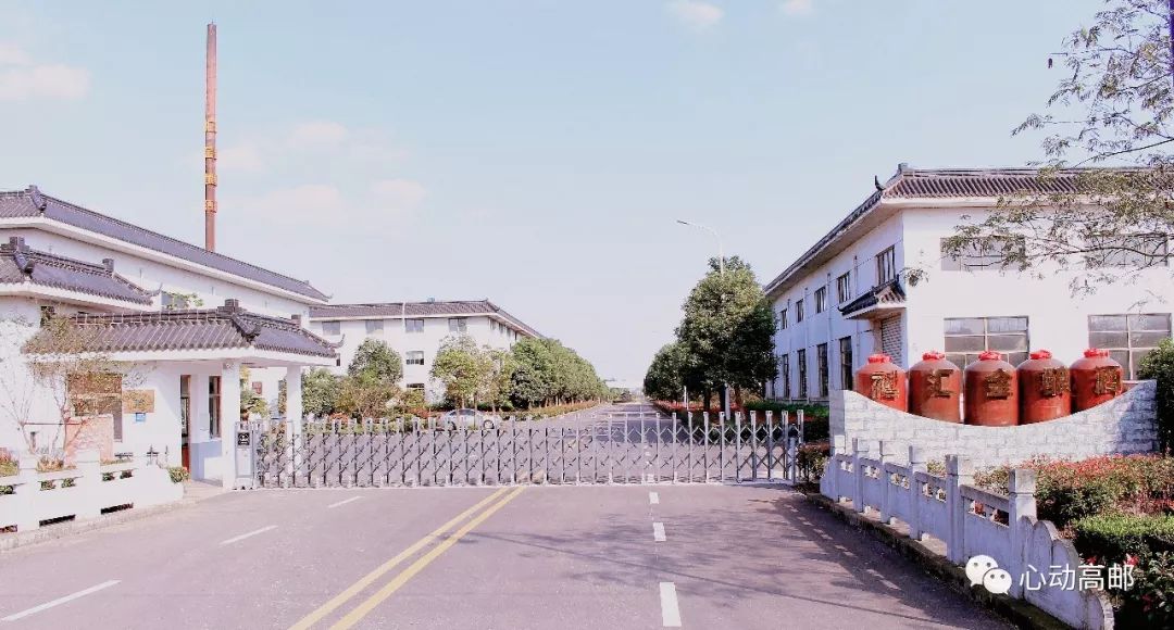 高邮最新农村的崛起与变迁,新面貌下的农村振兴之路