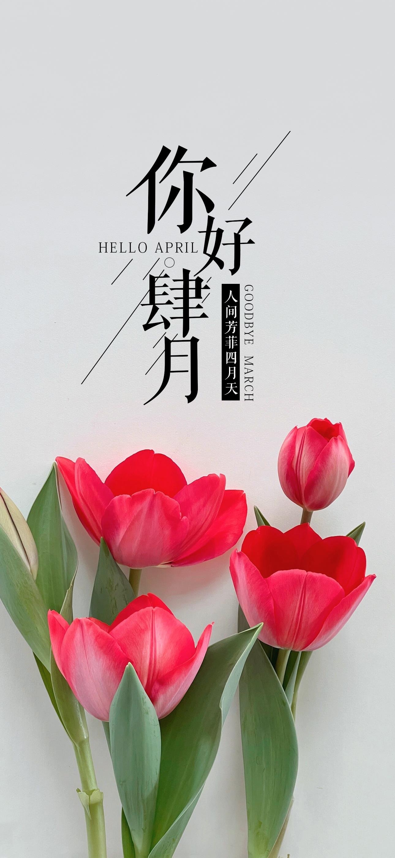 小巷深处的特色壁纸小店探秘,最新壁纸大放送