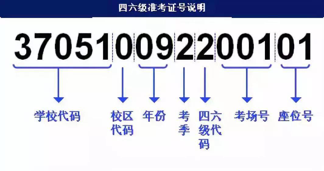 2024澳门管家婆一肖,快速产出解决方案_快速版23.912