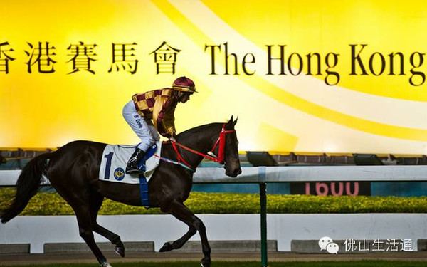 2024香港赛马全年免费资料,稳健设计策略_开放版71.551